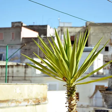 Apartment Casa Antica Canosa
